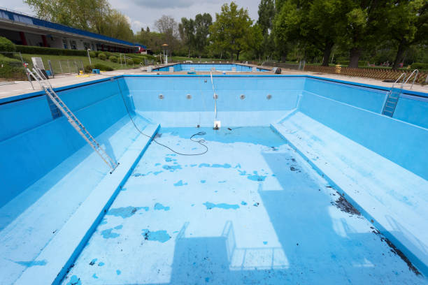 Best Professional water damage repair  in Foley, AL