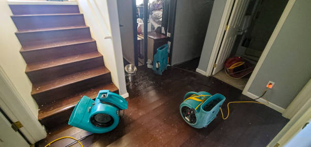 Best Water damage mitigation services  in Foley, AL