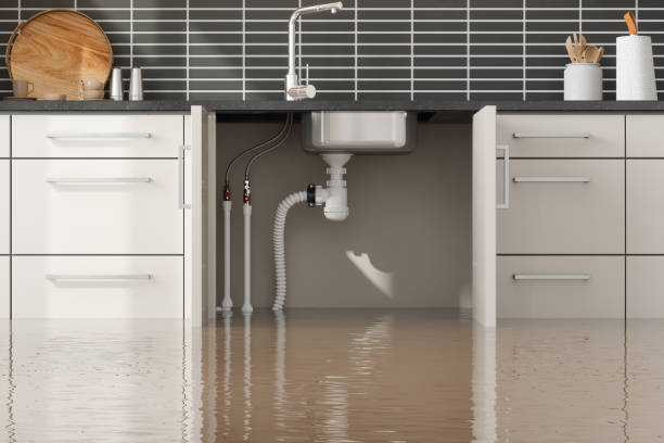 Best Flood restoration services  in Foley, AL